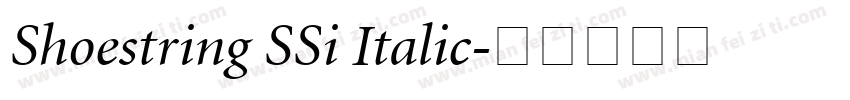 Shoestring SSi Italic字体转换